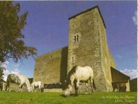 Amberieu en Bugey, Chateau des Allymes, Donjon carre (04)